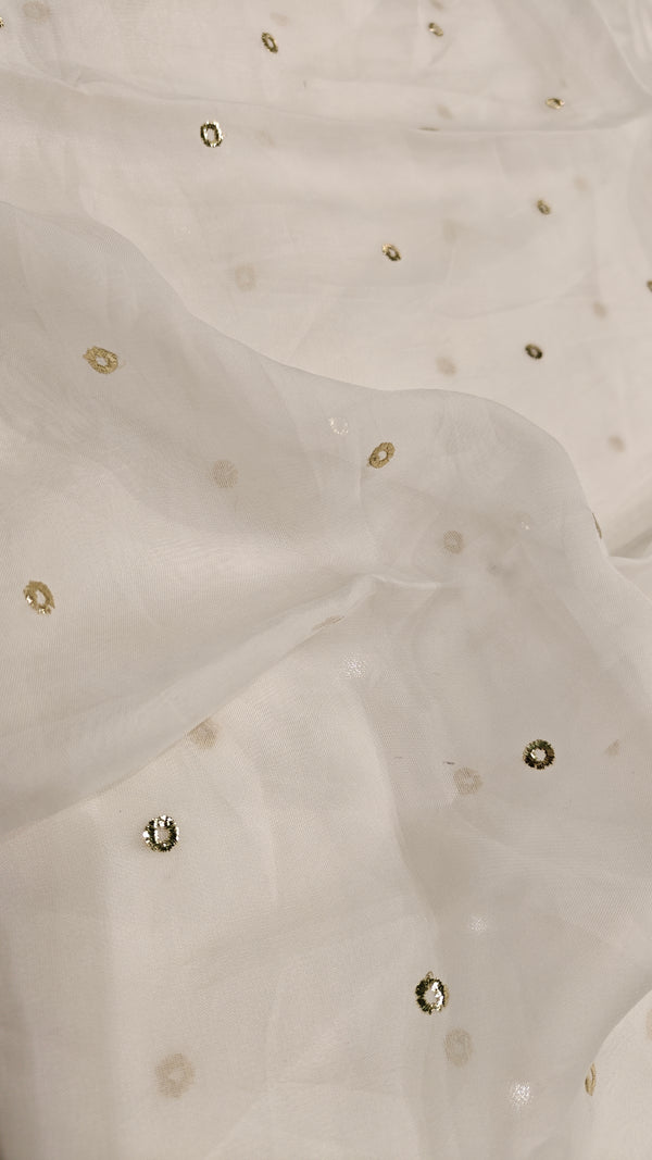 Silk Organza(1204)