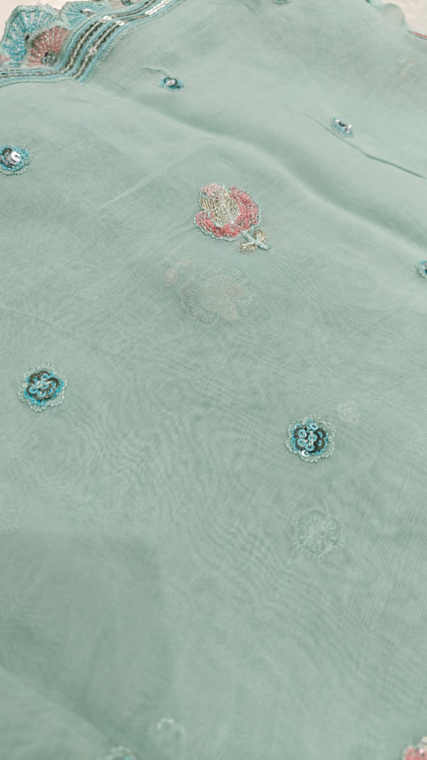 Silk Organza(1380)