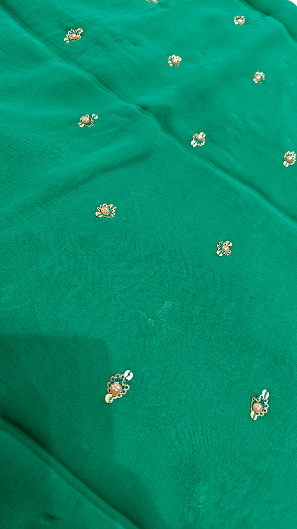 Georgette Embroidery(1397)