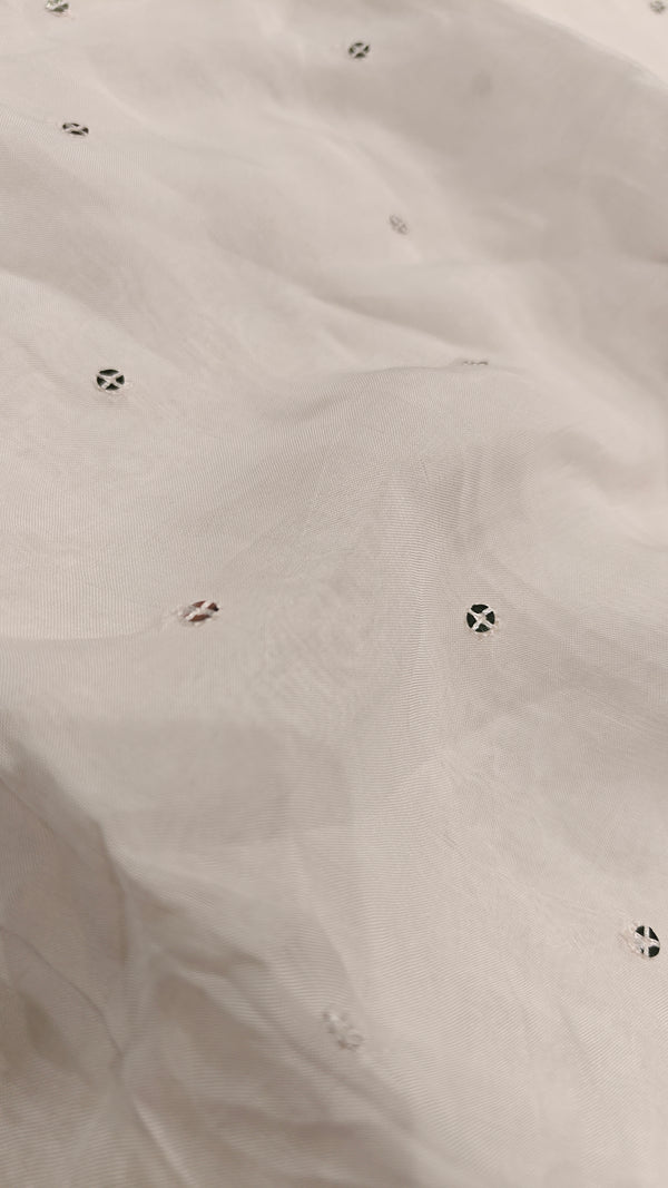Silk Organza(1610)