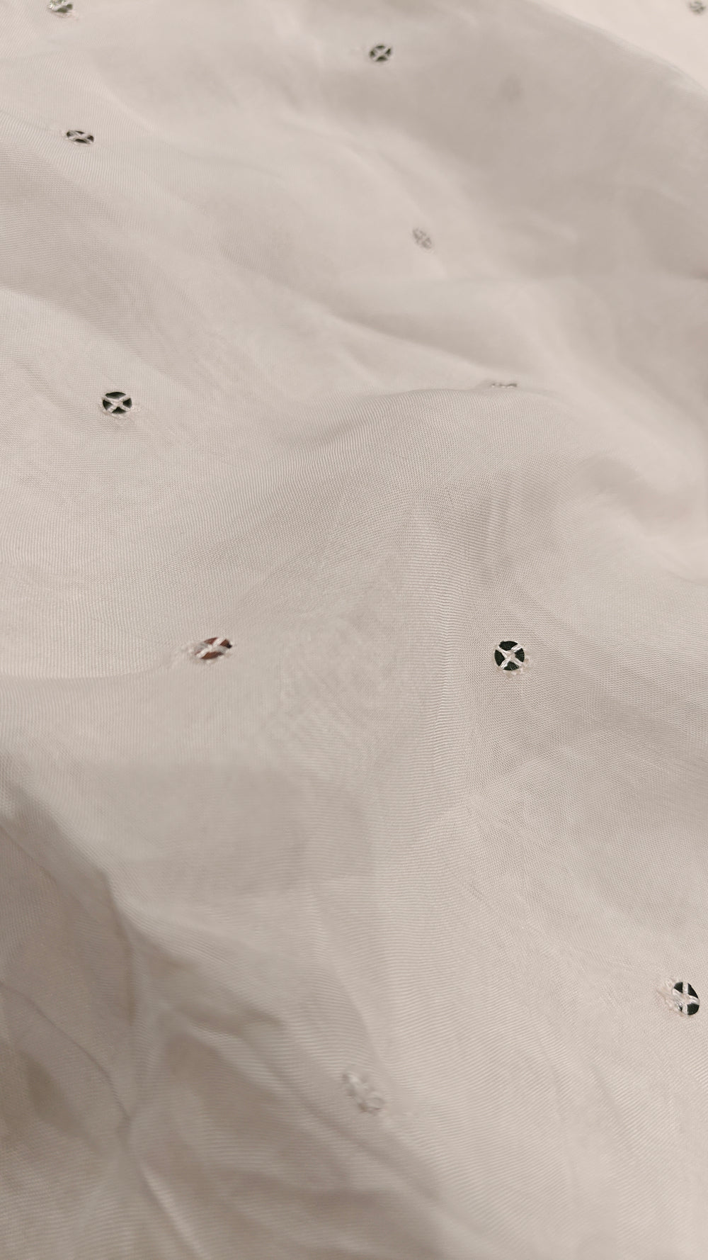Silk Organza(1610)