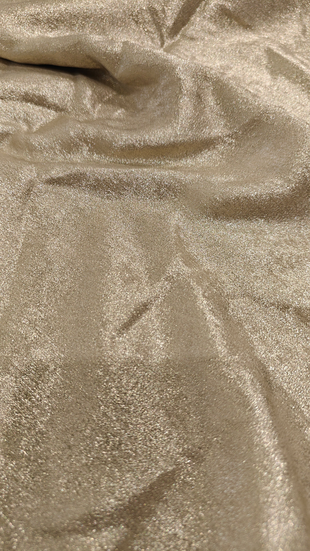 Shimmer(1627)