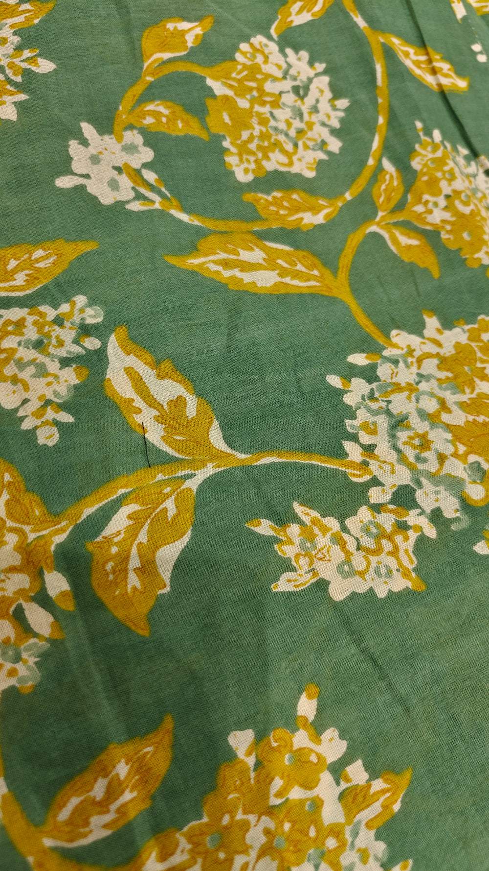 Cotton Print (1809)