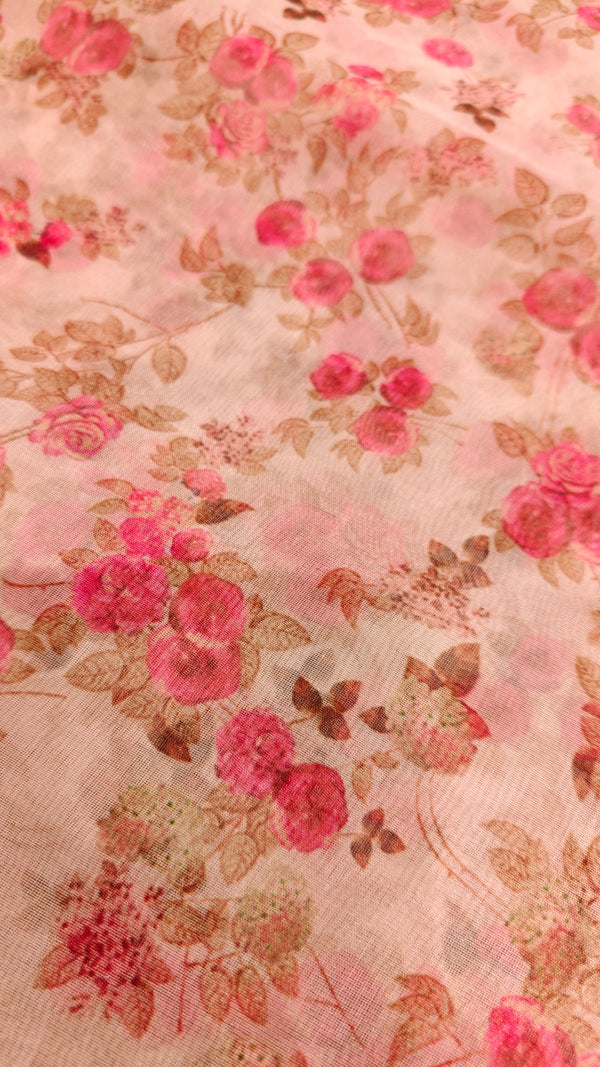Organza Embroidery (1889)